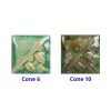 Picture of Mayco Stoneware Glaze SW193 Ivy 473ml