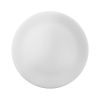 Picture of Ceramic Bisque Coupe Charger 6pc