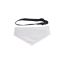 Picture of Sublimation Pet Bandana with Collar - Small