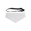 Picture of Sublimation Pet Bandana with Collar - Medium