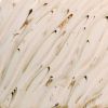 Picture of Amaco Potters Choice Flux Glaze PCF74 River Birch 472ml