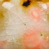 Picture of Mayco Jungle Gems Glaze CG1002 Day Lily 118ml