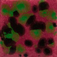 Picture of Mayco Jungle Gems Glaze CG1005 Maroon Lagoon 118ml