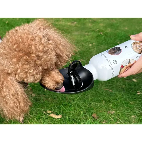 Picture of Sublimation Stainless Steel Pet Drink Bottle 600ml
