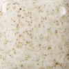 Picture of Mayco Foundations Opaque Glaze FN061 Ivory Speck 473ml