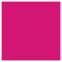 Picture of Siser EasyWeed Heat Transfer Vinyl - Neon Passion Pink