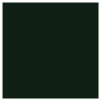 Picture of Siser EasyWeed Heat Transfer Vinyl - Dark Green