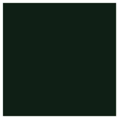 Picture of Siser EasyWeed Heat Transfer Vinyl - Dark Green