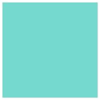 Picture of Siser EasyWeed Heat Transfer Vinyl - Aquagreen