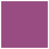 Picture of Siser EasyWeed Heat Transfer Vinyl - Radiant Orchid