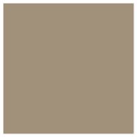 Picture of Siser EasyWeed Heat Transfer Vinyl - Sand