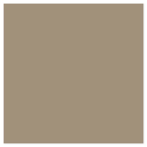 Picture of Siser EasyWeed Heat Transfer Vinyl - Sand