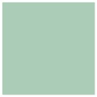 Picture of Siser EasyWeed Heat Transfer Vinyl - Sage