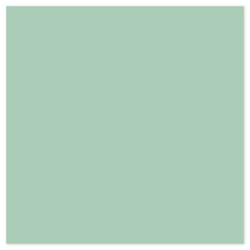 Picture of Siser EasyWeed Heat Transfer Vinyl - Sage