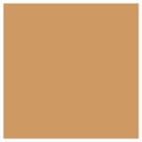 Picture of Siser EasyWeed Heat Transfer Vinyl - Tan