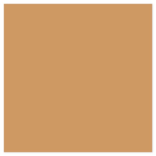Picture of Siser EasyWeed Heat Transfer Vinyl - Tan