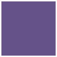 Picture of Siser EasyWeed Heat Transfer Vinyl - Wicked Purple