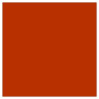 Picture of Siser EasyWeed Heat Transfer Vinyl - Texas Orange