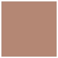 Picture of Siser EasyWeed Heat Transfer Vinyl - Cappuccino