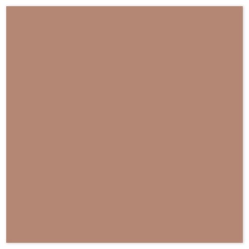 Picture of Siser EasyWeed Heat Transfer Vinyl - Cappuccino