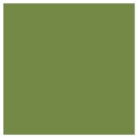Picture of Siser EasyPSV Starling Alligator Green
