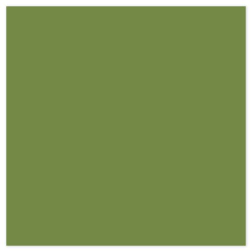 Picture of Siser EasyPSV Starling Alligator Green