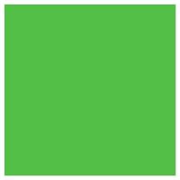 Picture of Siser EasyPSV Starling Bright Green