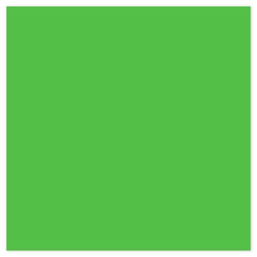 Picture of Siser EasyPSV Starling Bright Green