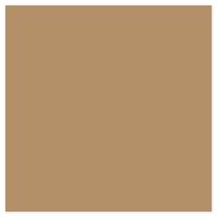 Picture of Siser EasyPSV Starling Camel