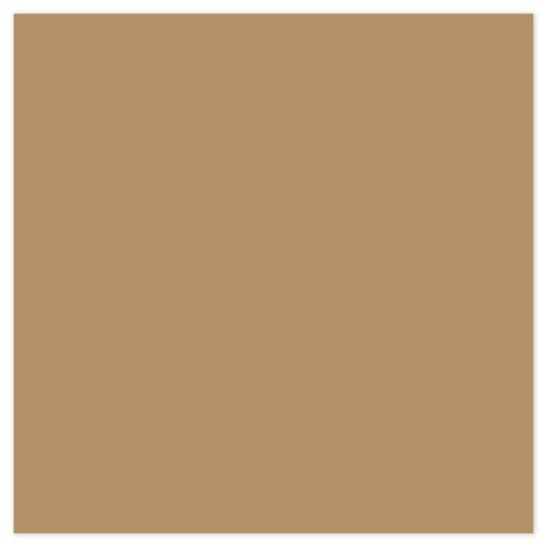 Picture of Siser EasyPSV Starling Camel