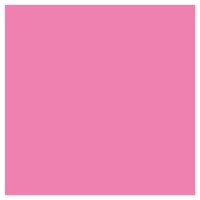 Picture of Siser EasyPSV Starling Carnation Pink