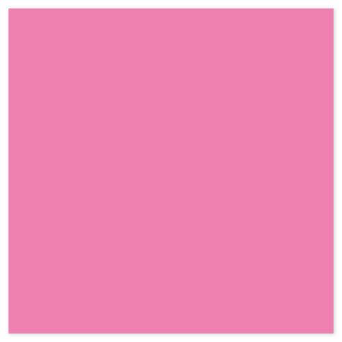 Picture of Siser EasyPSV® Starling Carnation Pink