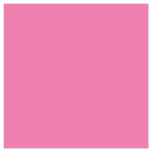 Picture of Siser EasyPSV Starling Carnation Pink