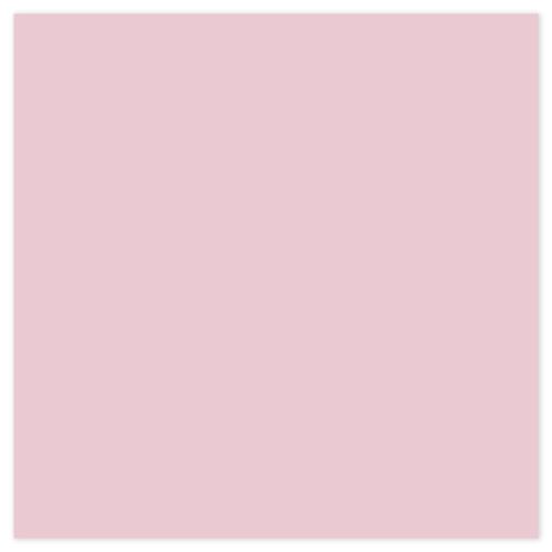 Picture of Siser EasyPSV Starling Cherry Bl Pink