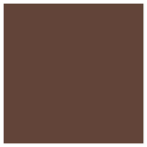 Picture of Siser EasyPSV Starling Coffee