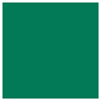 Picture of Siser EasyPSV Starling Emerald