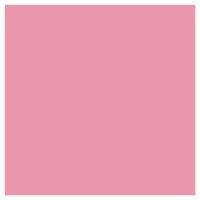 Picture of Siser EasyPSV Starling Flamingo