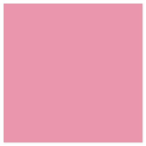 Picture of Siser EasyPSV Starling Flamingo