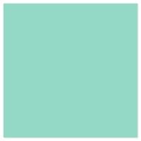 Picture of Siser EasyPSV Starling Fresh Mint