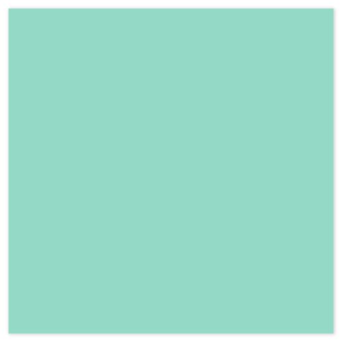 Picture of Siser EasyPSV Starling Fresh Mint