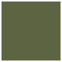 Picture of Siser EasyPSV Starling Green Olive