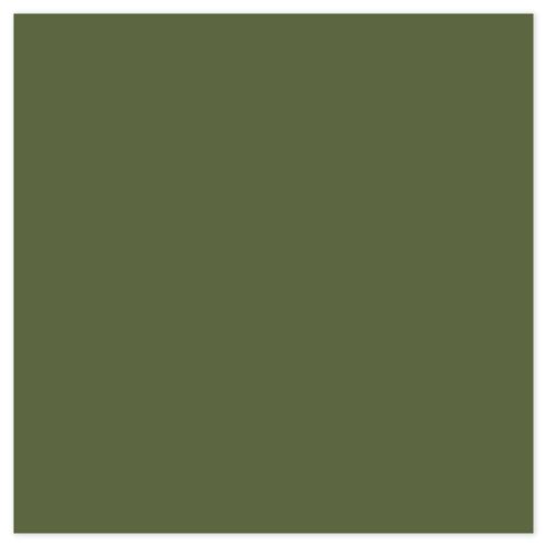 Picture of Siser EasyPSV Starling Green Olive