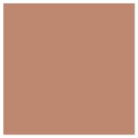 Picture of Siser EasyPSV Starling Latte
