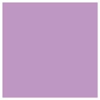 Picture of Siser EasyPSV Starling Light Orchid