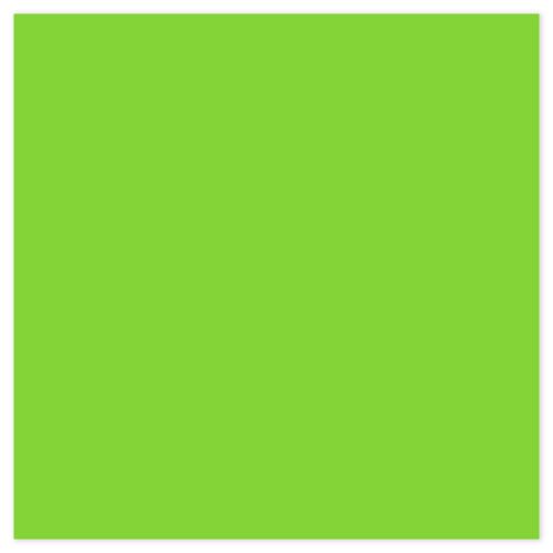Picture of Siser EasyPSV Starling Lime Green