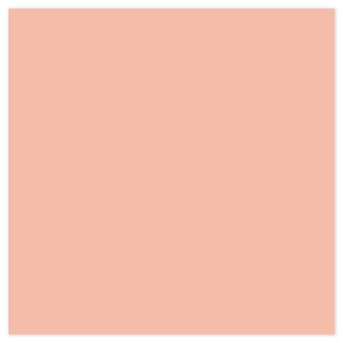 Picture of Siser EasyPSV® Starling Pale Peach