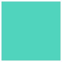 Picture of Siser EasyPSV Starling Retro Mint
