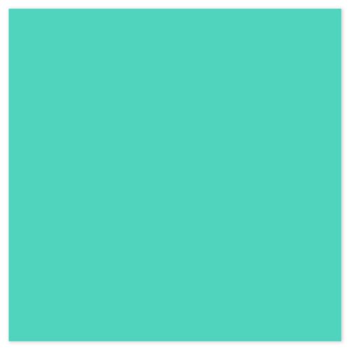 Picture of Siser EasyPSV Starling Retro Mint