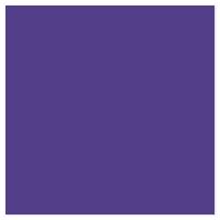 Picture of Siser EasyPSV Starling Royal Purple