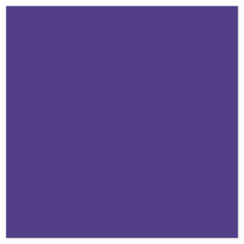Picture of Siser EasyPSV Starling Royal Purple